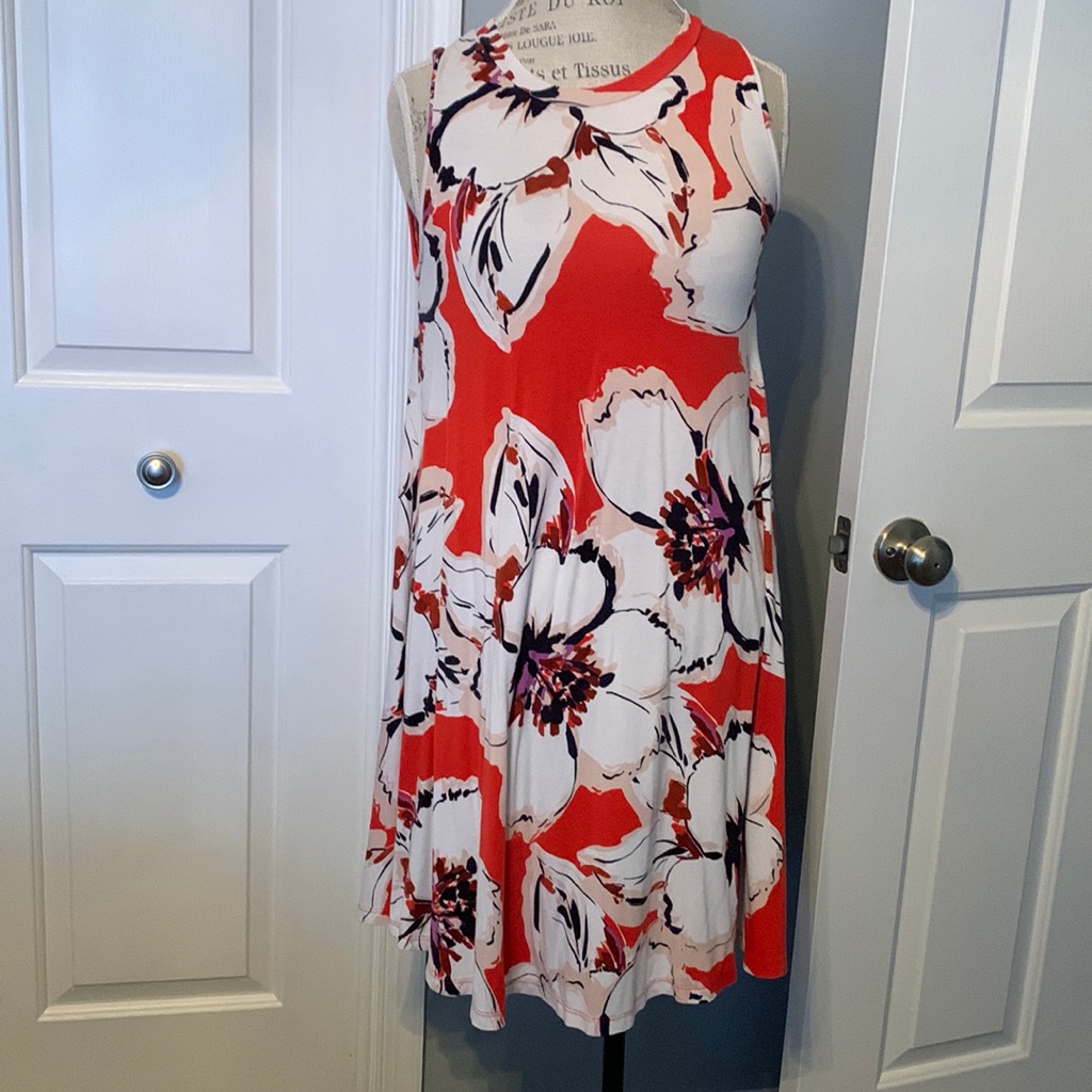 The Limited Floral Swing Dress